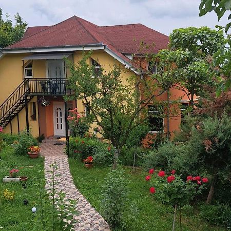 Casa Liana Hotel Oradea Buitenkant foto