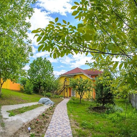 Casa Liana Hotel Oradea Buitenkant foto