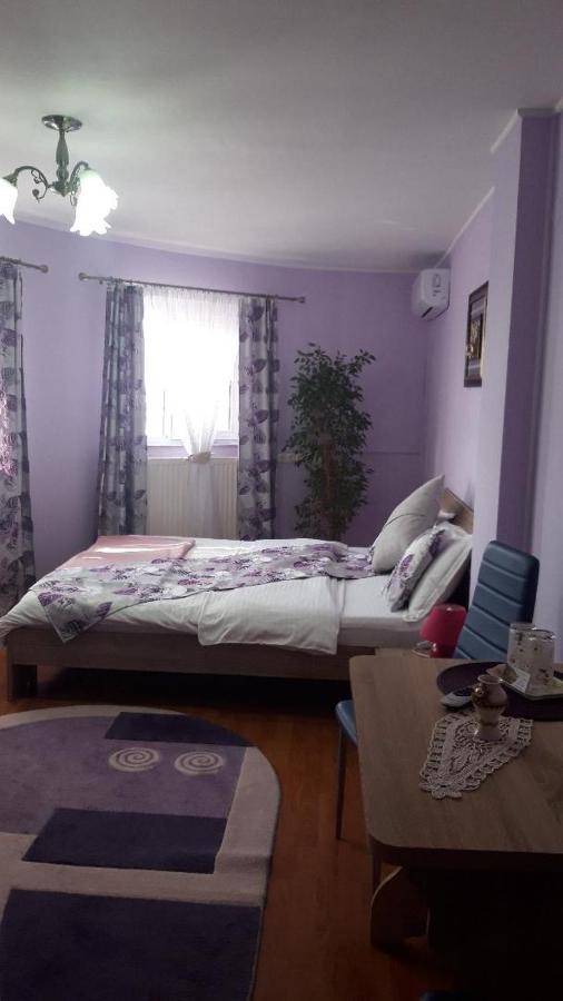 Casa Liana Hotel Oradea Buitenkant foto