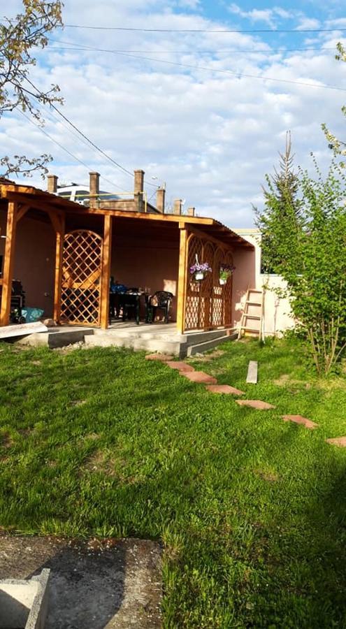 Casa Liana Hotel Oradea Buitenkant foto